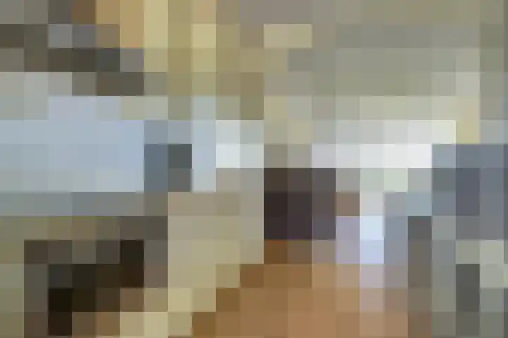 Kadedijk 86 Fijnaart thumbnail 8