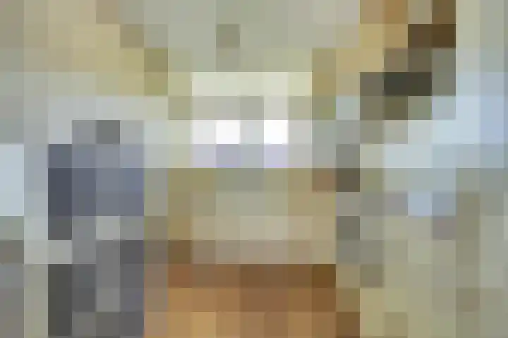 Kadedijk 86 Fijnaart thumbnail 9