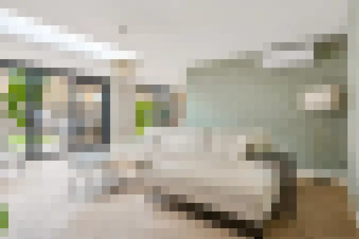 Kadegriend 34 Almere thumbnail 5