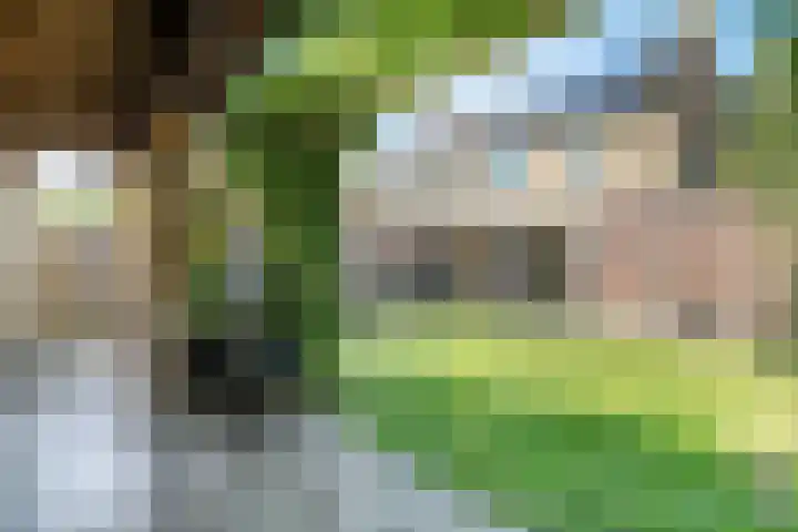 Kadegriend 52 Almere thumbnail 30