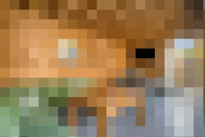 Kadegriend 52 Almere thumbnail 31