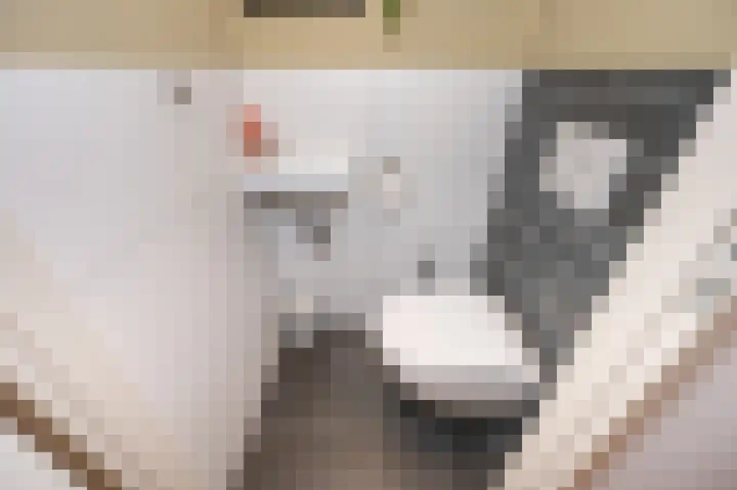 Kadelaan 114 Zoetermeer thumbnail 14