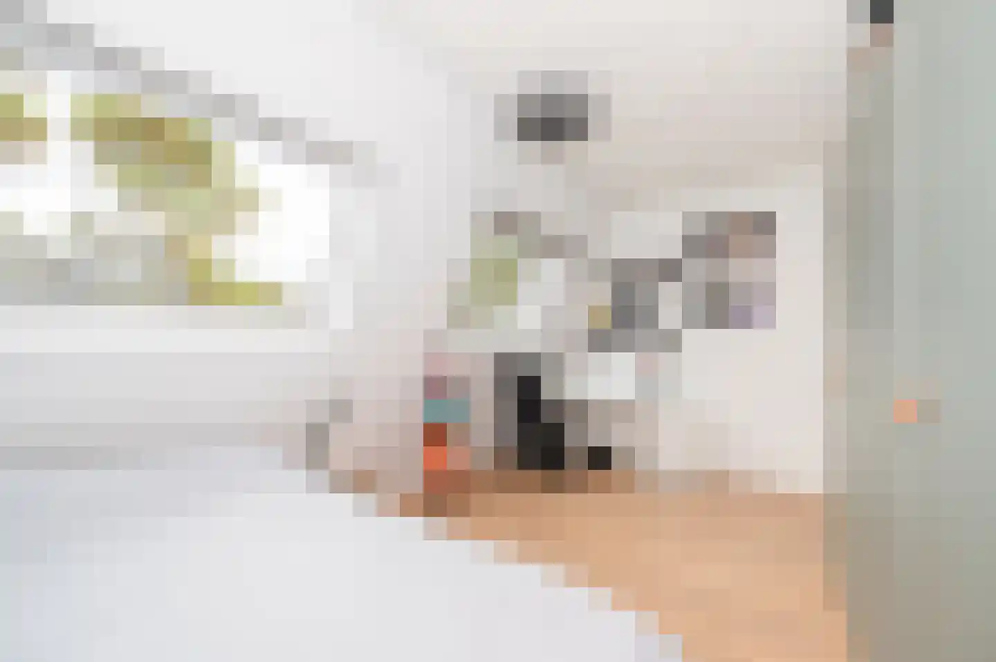 Kadelaan 114 Zoetermeer thumbnail 30