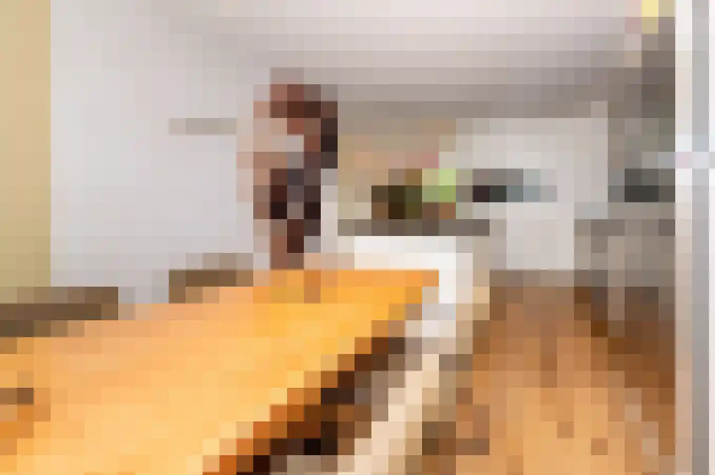 Kadelaan 114 Zoetermeer thumbnail 6