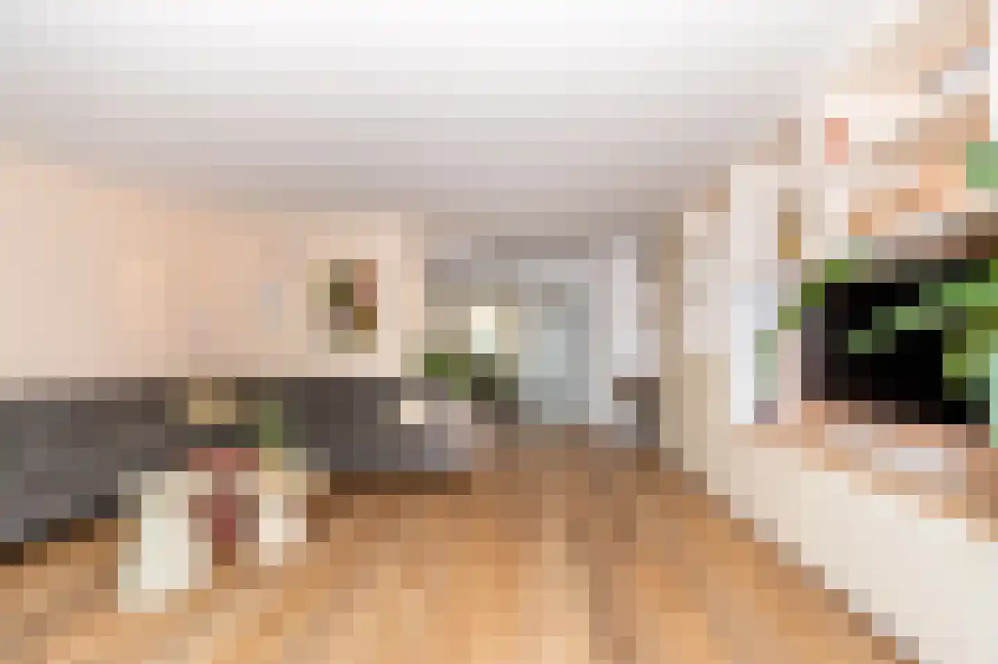 Kadelaan 114 Zoetermeer thumbnail 7