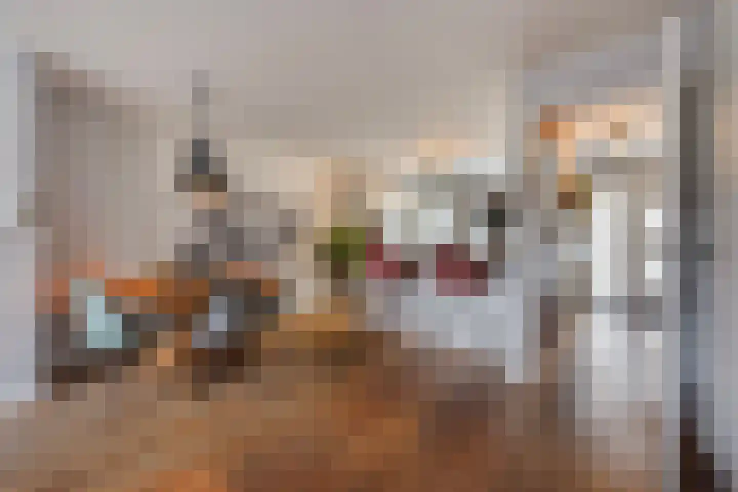 Kadelaan 133 Zoetermeer thumbnail 11