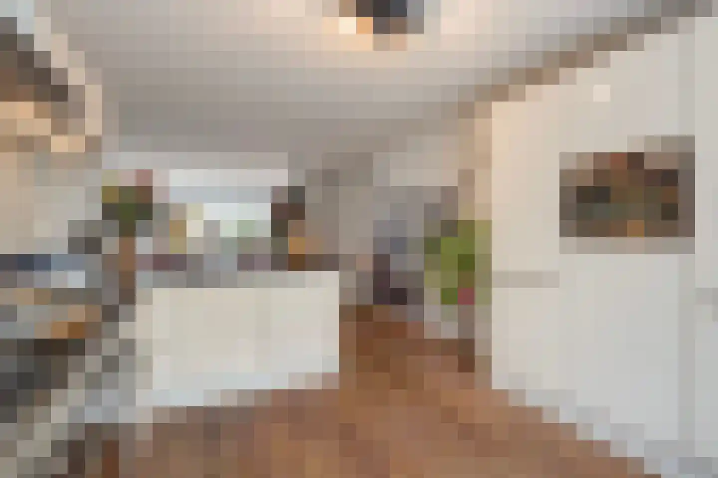 Kadelaan 133 Zoetermeer thumbnail 17