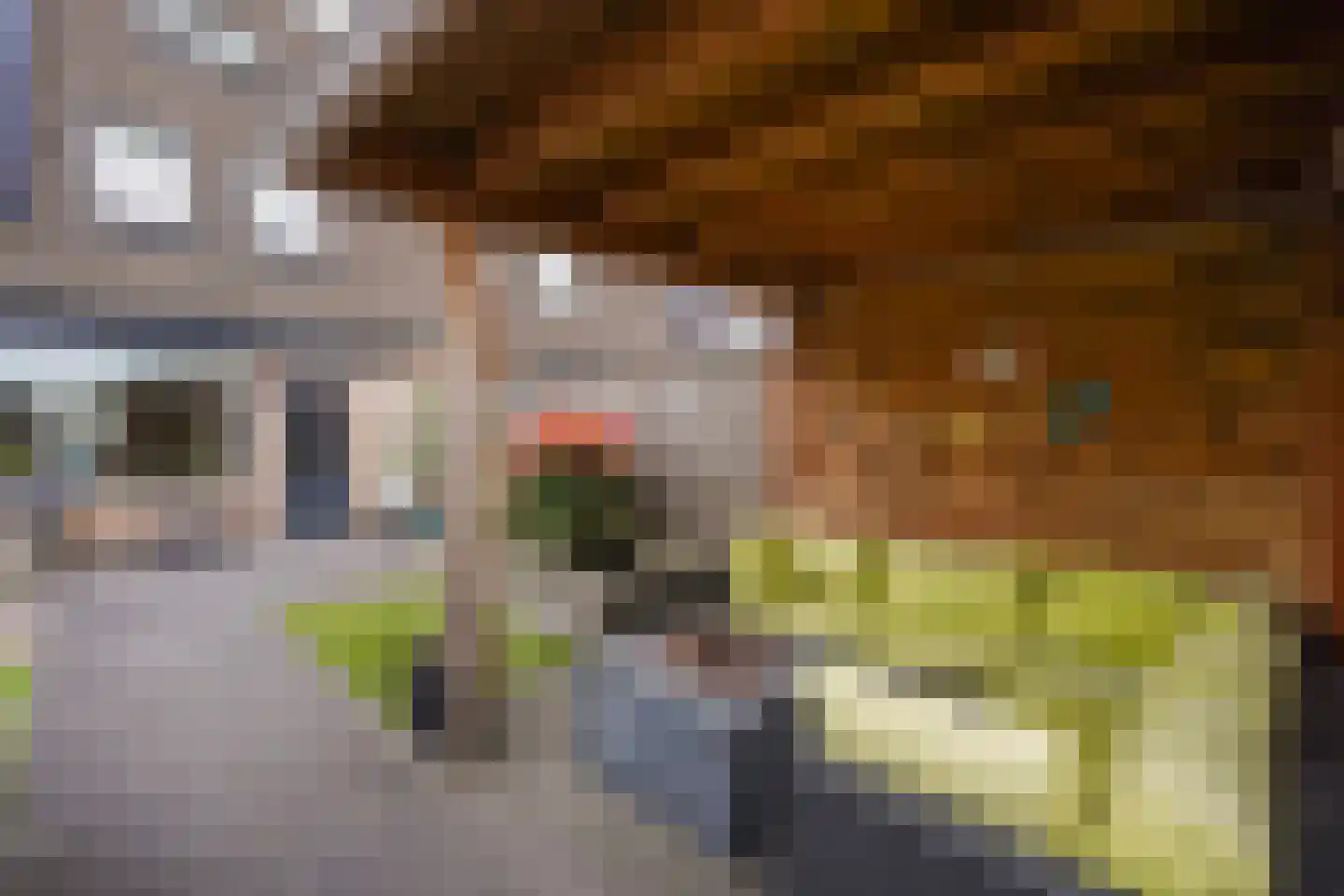 Kadelaan 133 Zoetermeer thumbnail 22