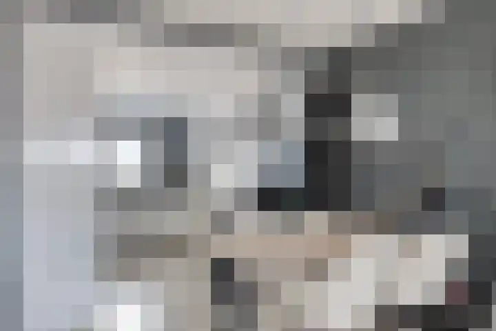 Kadelaan 161 Zoetermeer thumbnail 13