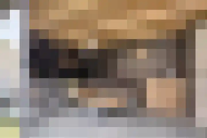 Kadelaan 161 Zoetermeer thumbnail 18
