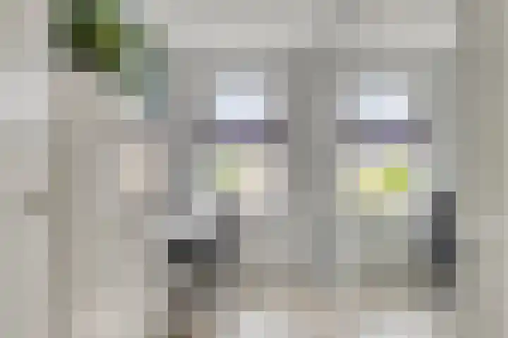 Kadelaan 161 Zoetermeer thumbnail 22
