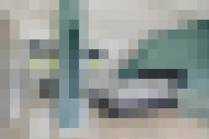 Kadelaan 161 Zoetermeer thumbnail 30