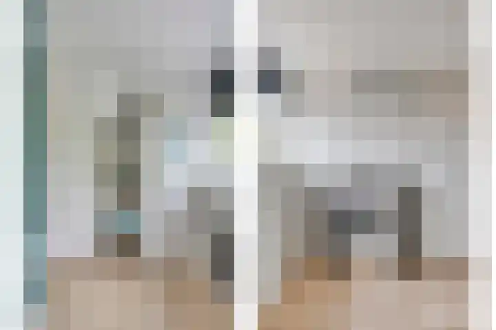 Kadelaan 161 Zoetermeer thumbnail 31