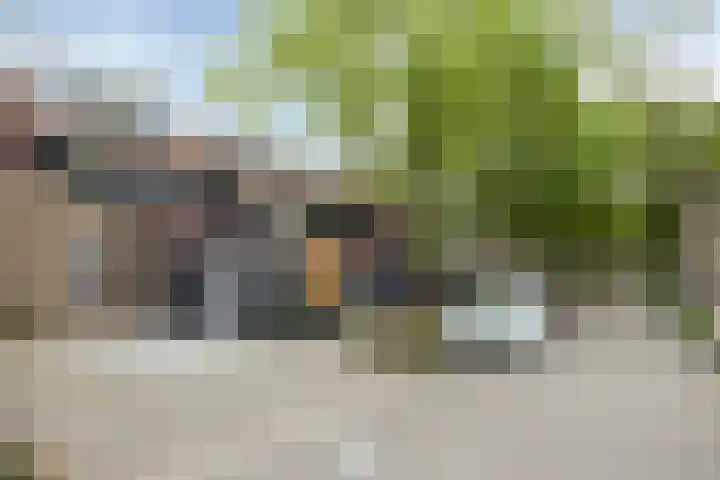 Kadelaan 161 Zoetermeer thumbnail 32