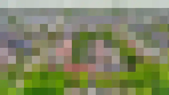 Kadelaan 165 Zoetermeer thumbnail 42