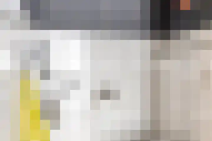 Kadeneterkamp 21 Zwolle thumbnail 10