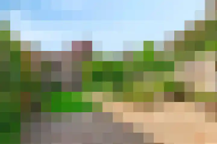 Kadeneterkamp 21 Zwolle thumbnail 24