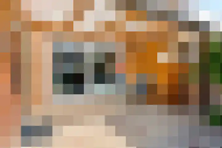 Kadeneterkamp 21 Zwolle thumbnail 25