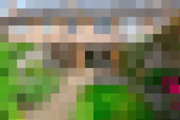 Kadeneterkamp 21 Zwolle thumbnail 26