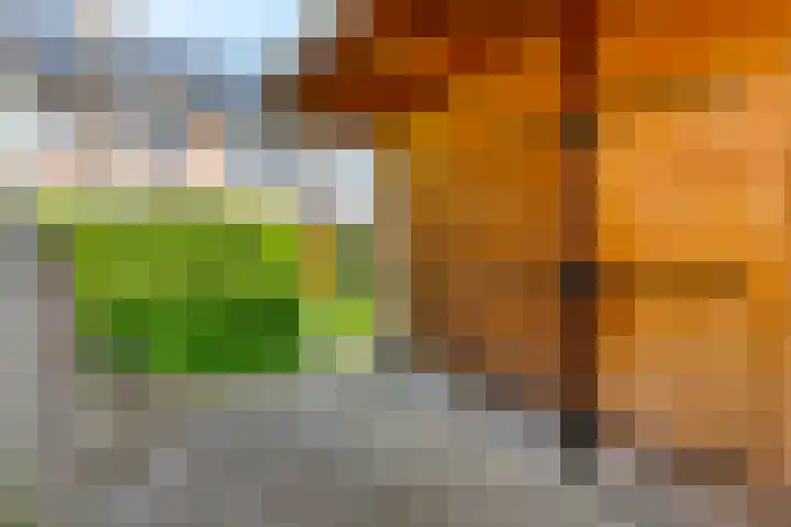 Kadeneterkamp 21 Zwolle thumbnail 27