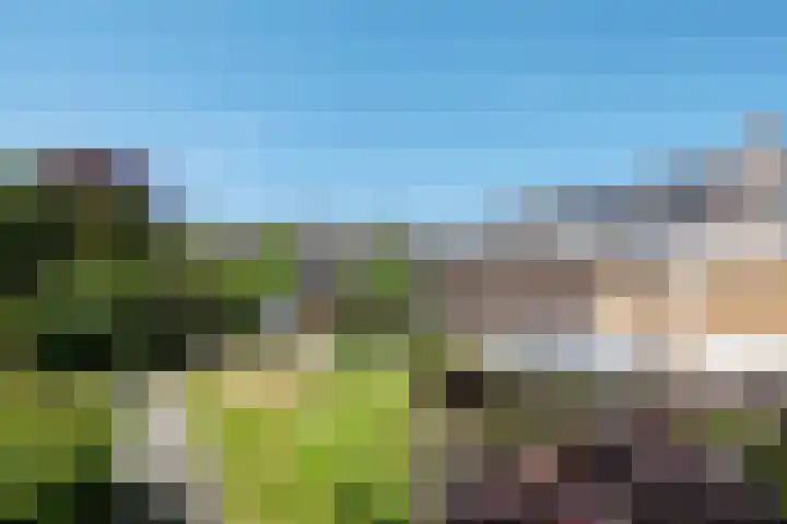 Kadeneterkamp 21 Zwolle thumbnail 28