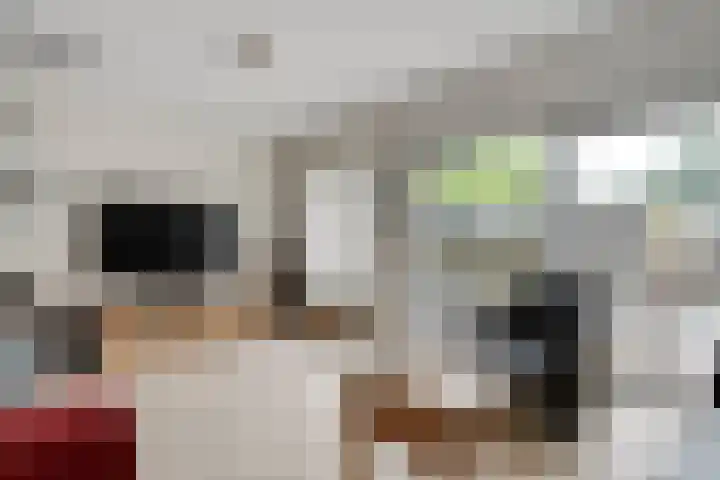 Kadeneterkamp 64 Zwolle thumbnail 14