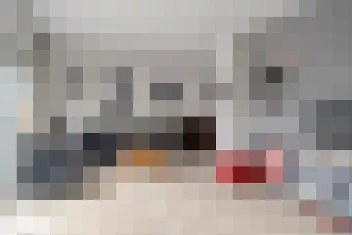 Kadeneterkamp 64 Zwolle thumbnail 15