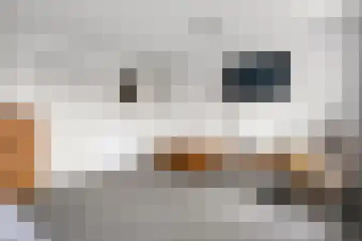 Kadeneterkamp 64 Zwolle thumbnail 20