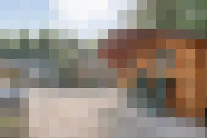 Kadeneterkamp 64 Zwolle thumbnail 35