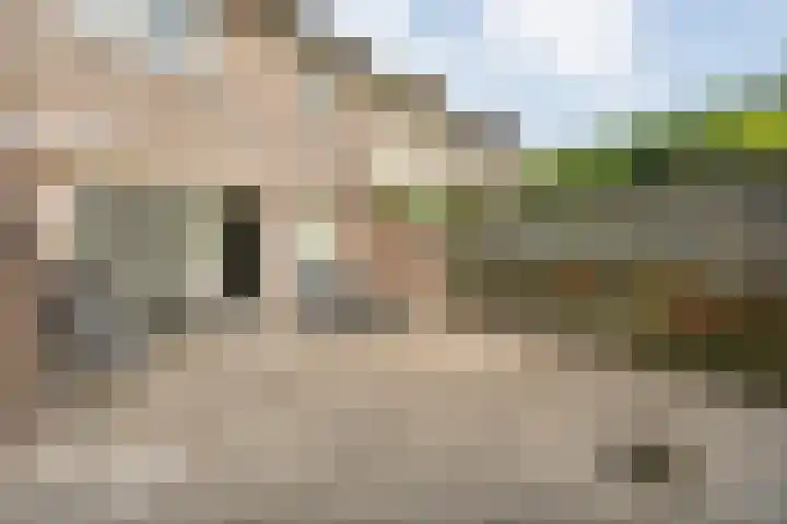 Kadeneterkamp 64 Zwolle thumbnail 37