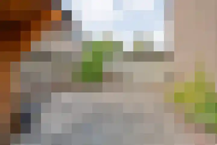 Kadeneterkamp 64 Zwolle thumbnail 38