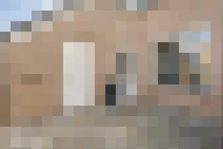Kadeneterkamp 64 Zwolle thumbnail 5