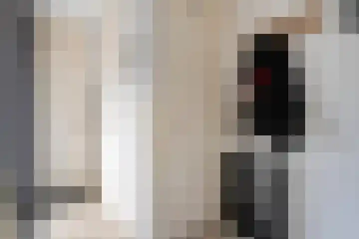 Kadeneterkamp 64 Zwolle thumbnail 6