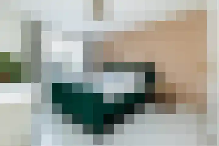 Kadeneterkamp 8 Zwolle thumbnail 13