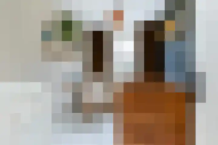 Kadeneterkamp 8 Zwolle thumbnail 17