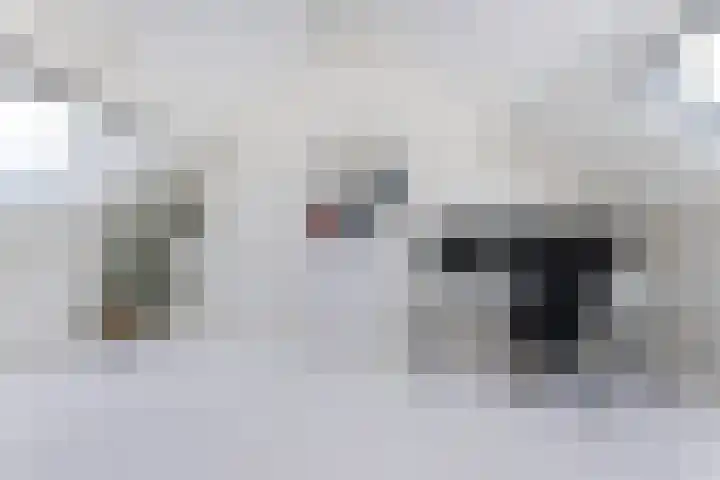 Kadeneterkamp 8 Zwolle thumbnail 18