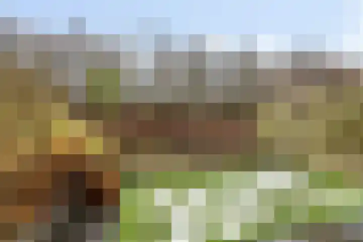 Kadeneterkamp 8 Zwolle thumbnail 20