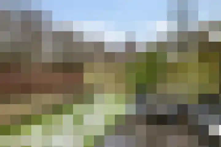 Kadeneterkamp 8 Zwolle thumbnail 21