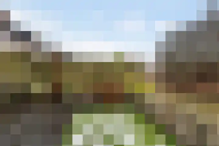 Kadeneterkamp 8 Zwolle thumbnail 23