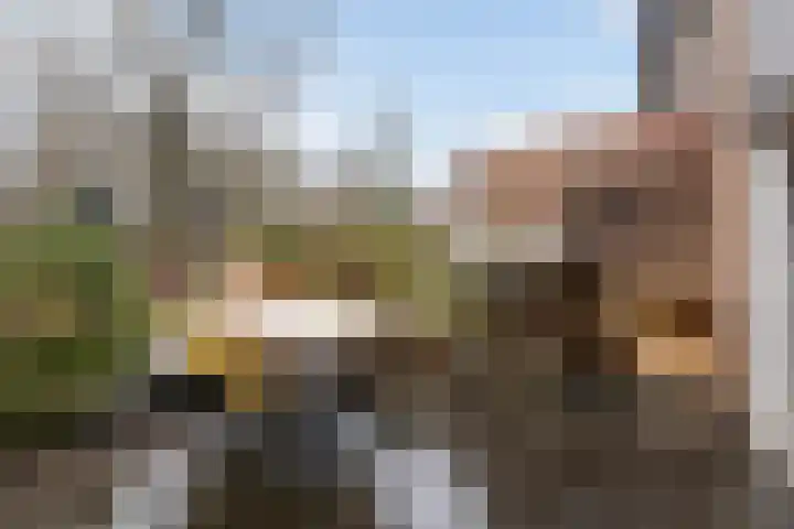 Kadeneterkamp 8 Zwolle thumbnail 25