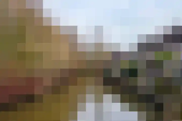 Kadeneterkamp 8 Zwolle thumbnail 26