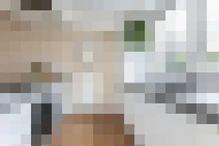 Kadeneterkamp 8 Zwolle thumbnail 4