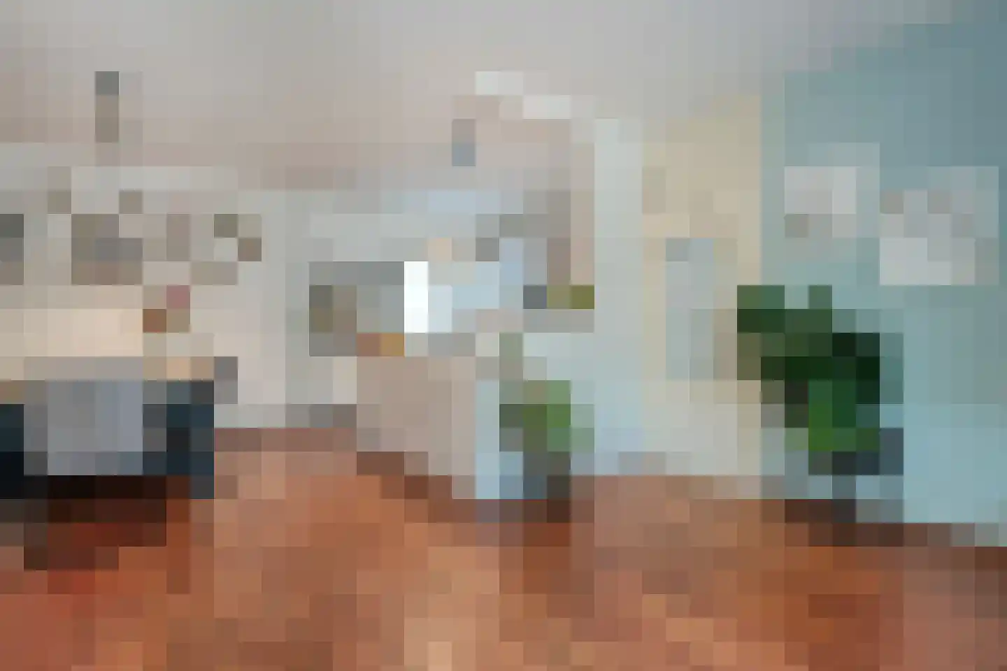 Kadeneterkamp 80 Zwolle thumbnail 13