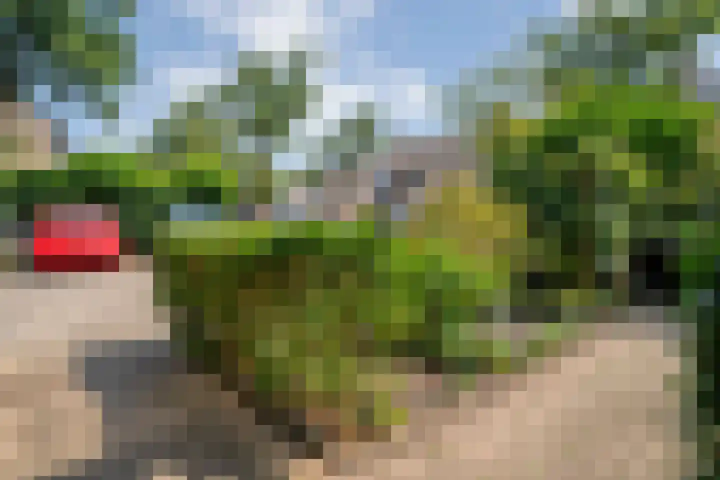 Kadeneterkamp 80 Zwolle thumbnail 39