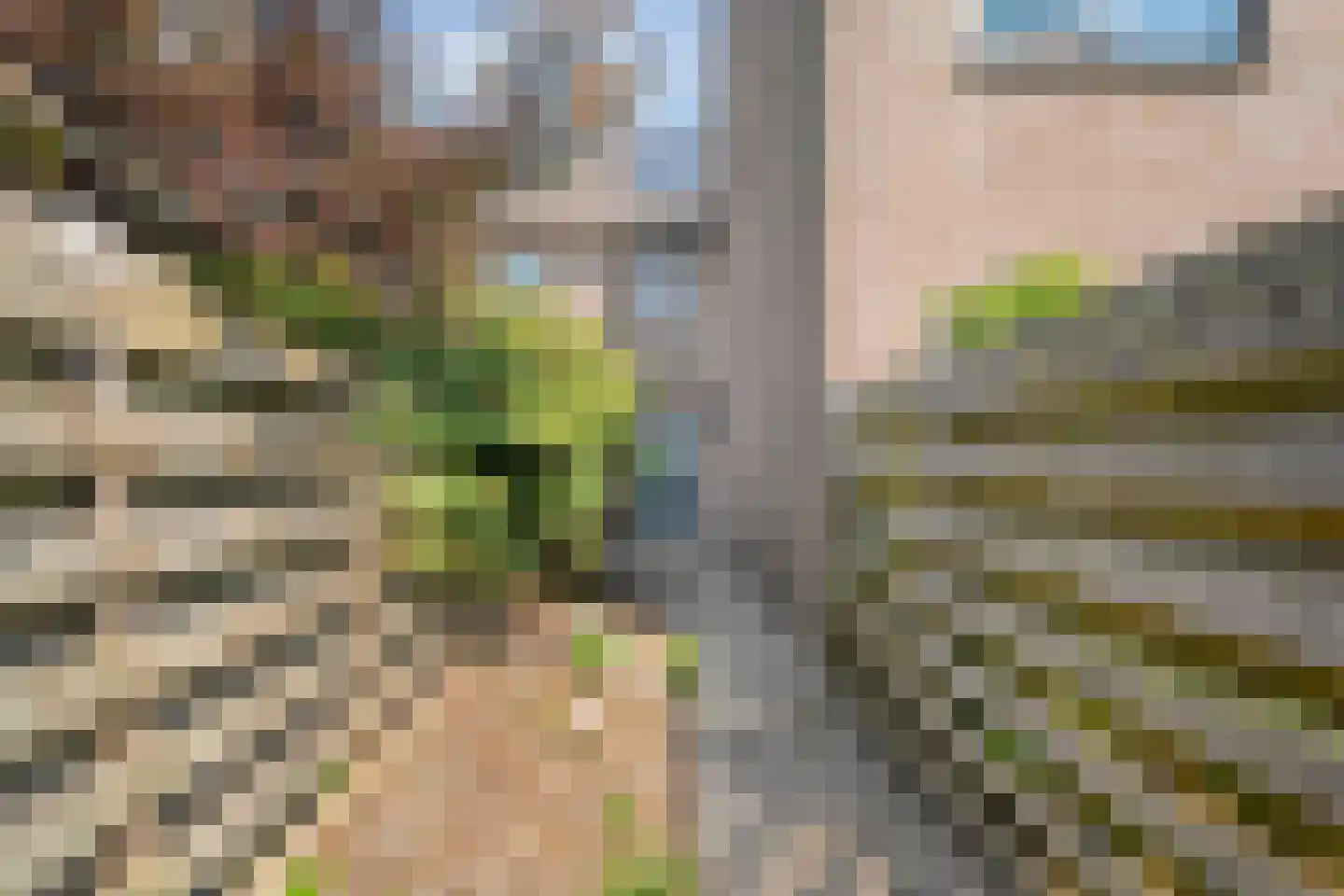 Kadeneterkamp 80 Zwolle thumbnail 40
