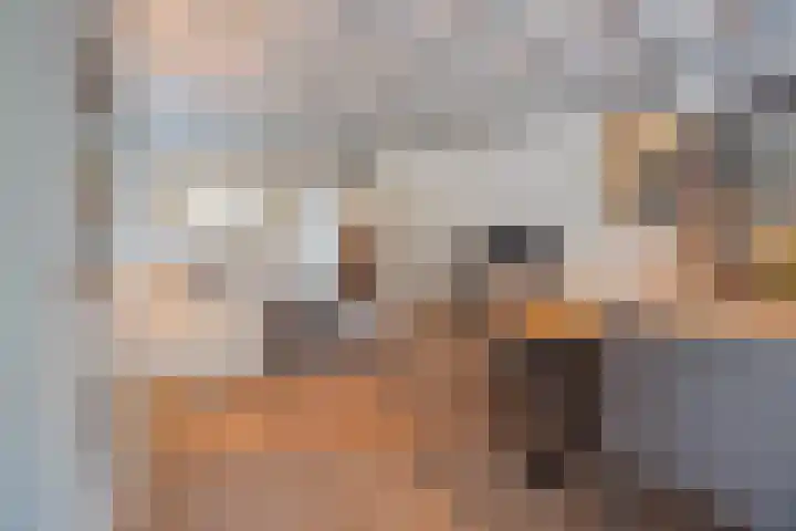Kadepad 11 Raamsdonksveer thumbnail 13