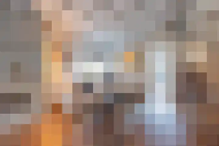 Kadepad 11 Raamsdonksveer thumbnail 15