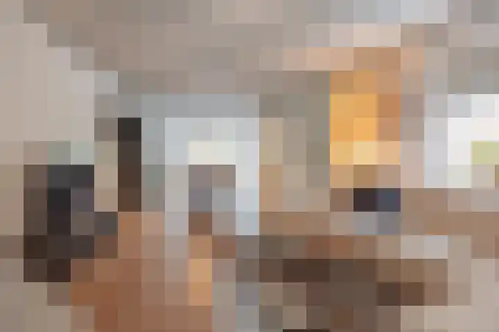 Kadepad 11 Raamsdonksveer thumbnail 17