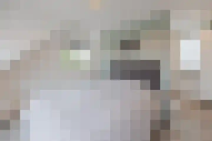 Kadepad 11 Raamsdonksveer thumbnail 26