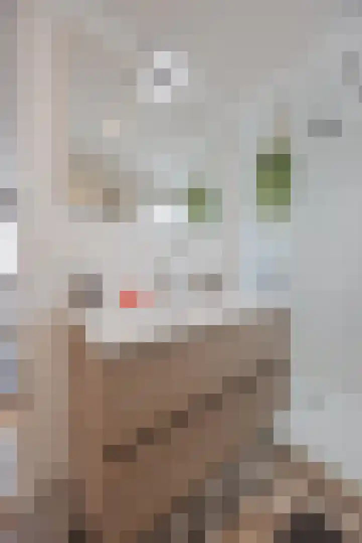 Kadepad 11 Raamsdonksveer thumbnail 30